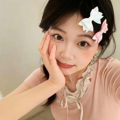 冰雪小尖兵海报